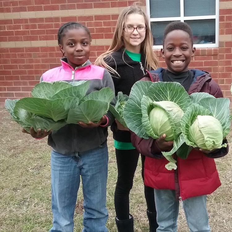 Ag in the Cafeteria: Teaching students how farmers grow their food